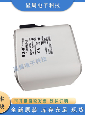 全新保险丝熔断器170M6569 170M6570 170M6571 170M6581 170M6586