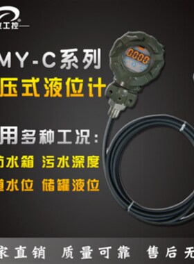 烨立 WMY2012 B 开关液位计 投入式变送器WMY CXS水位传感器 现货