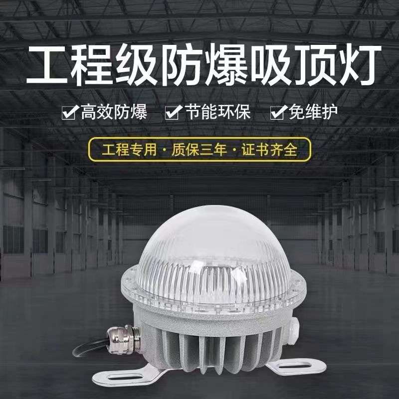 防爆灯led30w隔爆型工业仓库化工房加油站专用防爆吸顶灯高亮节能