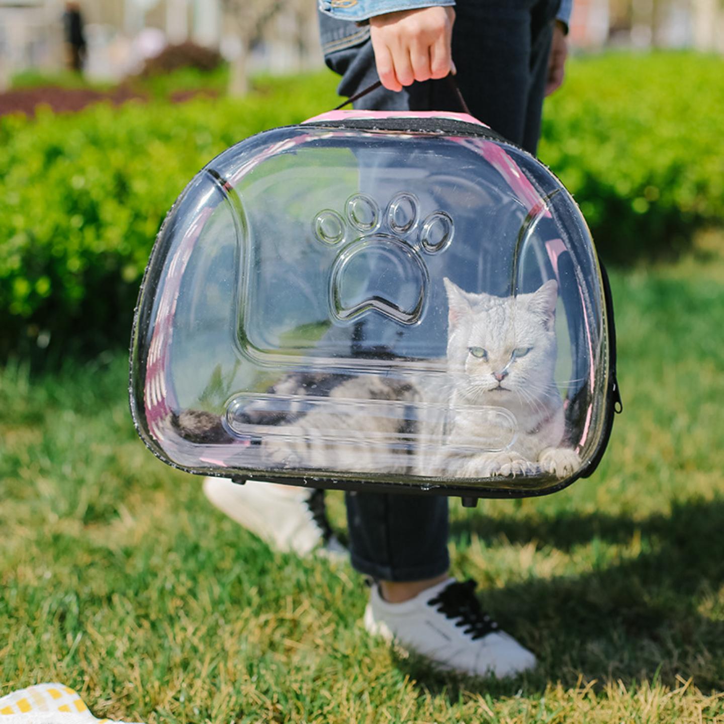 猫包外出宠物猫咪全透明书包装猫