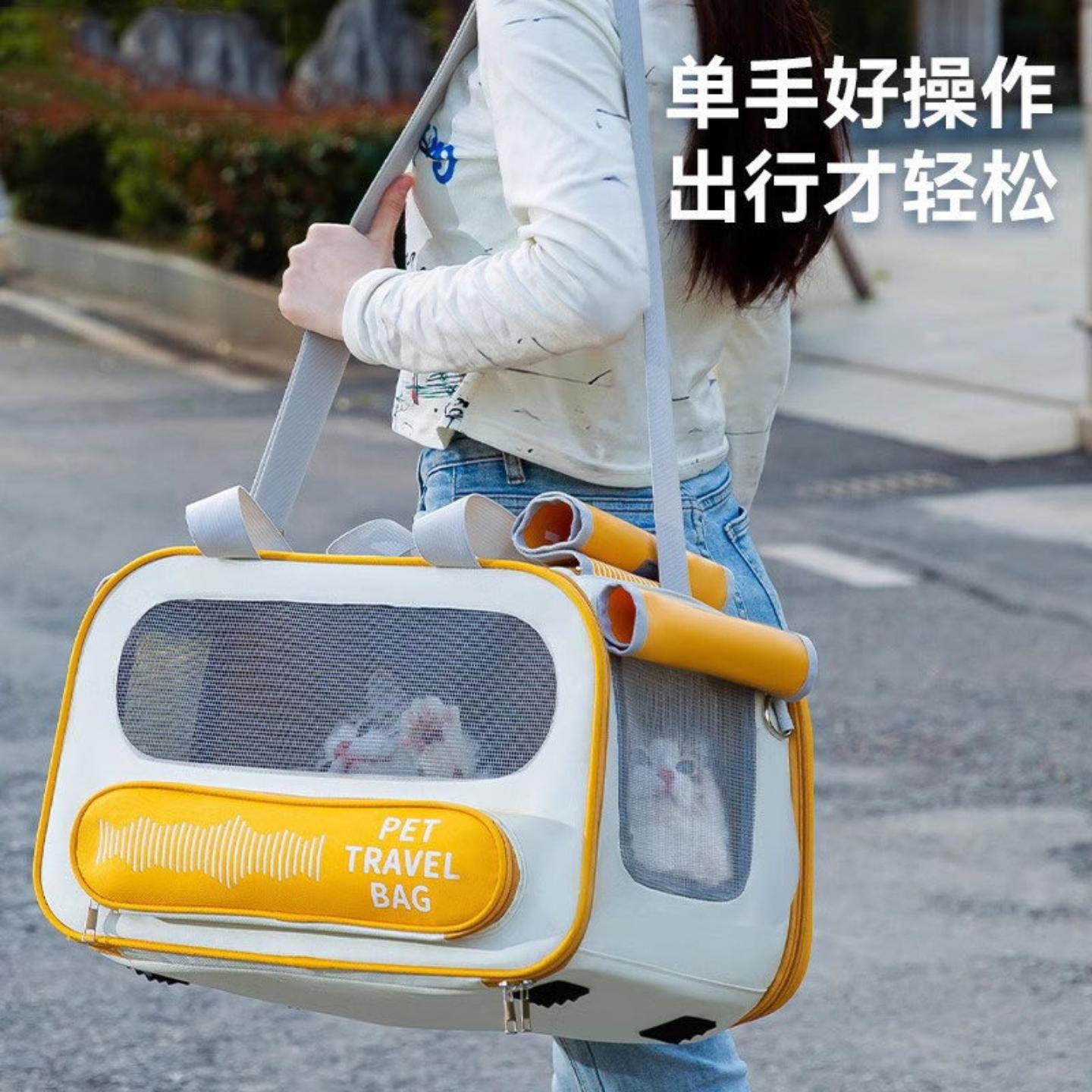 狗狗背包坐车宠物音乐猫笼律动