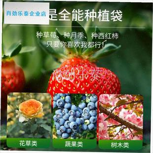 织布美植袋种植袋黑色加厚植树袋育苗袋种O菜厂家直销营养钵跨境l