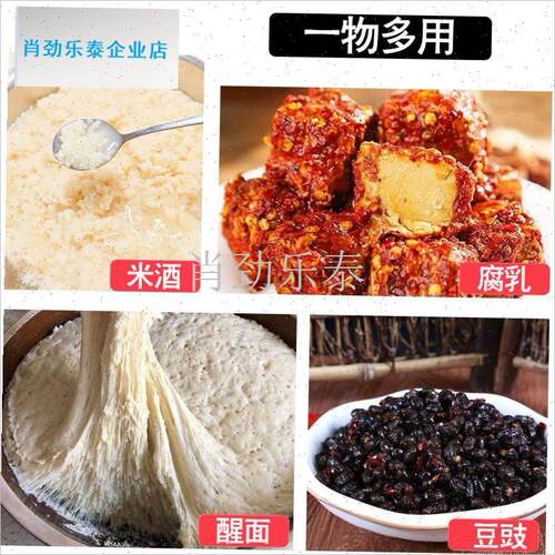 面恒温箱冬天家用电加热醒面保A温箱冬季包子馒头面团发酵箱神器l