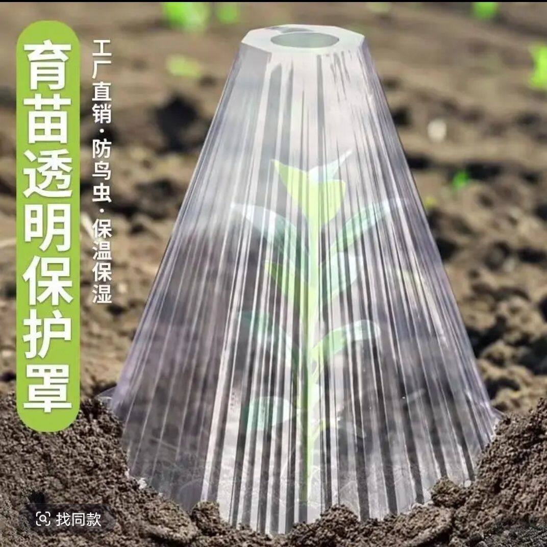 大号育苗保护罩加厚方形透明植物钟罩大棚鸟类免受霜冻伤害保暖