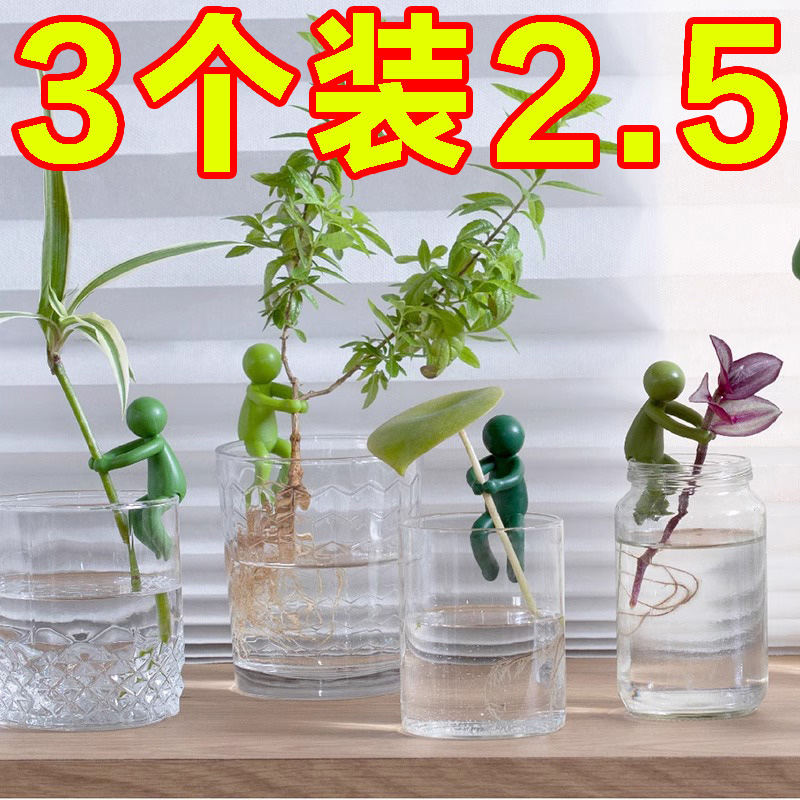 水培植物扶正扶枝固定防倒伏叶