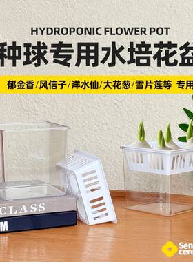 亚克力分格水培花瓶郁金香专用