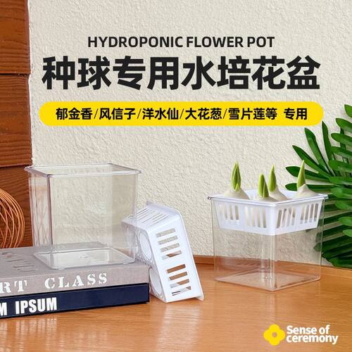 亚克力分格水培花瓶郁金香专用