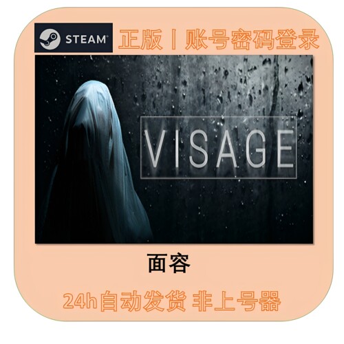 steam正版 面容VISAGE 游戏租号 账密登录不顶号 单人游戏在线玩