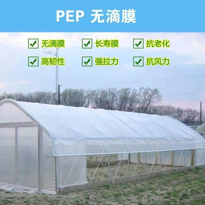 海力温室加厚透光塑料棚布透明篷布户外养殖厂遮阳防老化大棚布