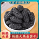 新疆桑葚干官方旗舰店黑桑椹特产级泡茶水新鲜大颗粒干果新货特产