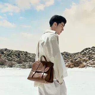 【明星同款】香港山下有颗大树公通用款女包