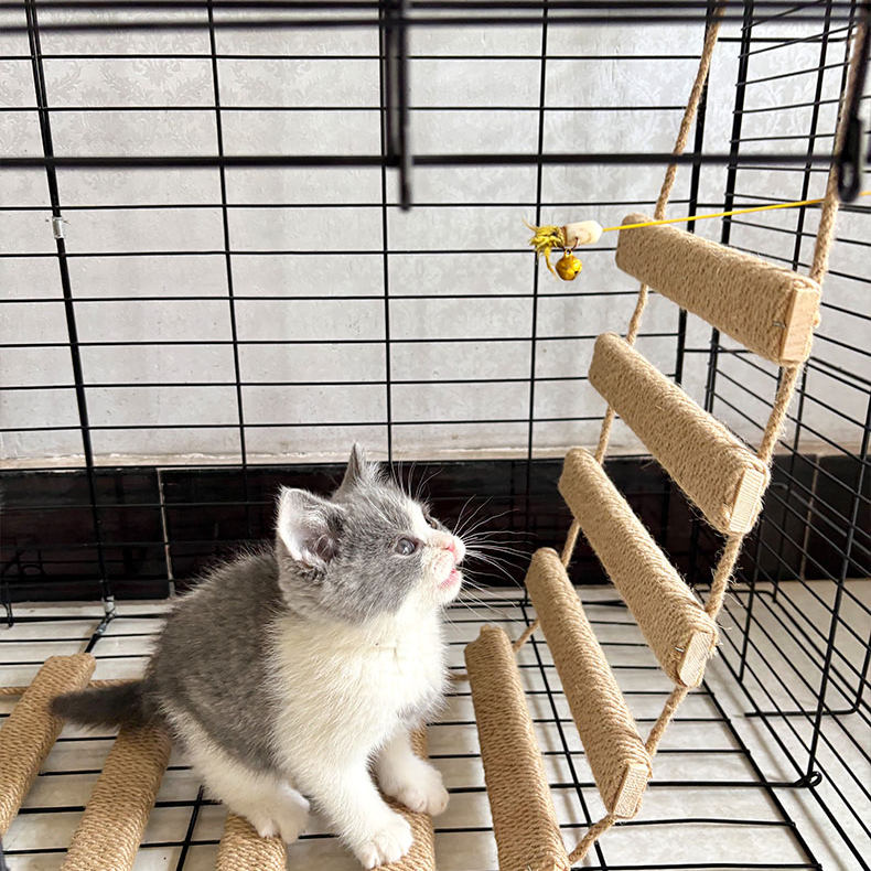 实木桥梯两用猫抓板猫咪蹬天爬梯桥梯麻绳可连接跳台猫窝磨爪神器