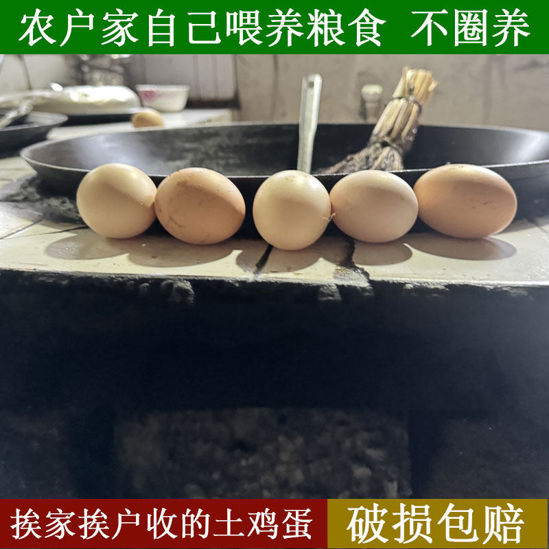 土鸡蛋农家散养新鲜正宗虫草鸡蛋纯粮笨鸡蛋农村柴鸡蛋可生食鸡蛋