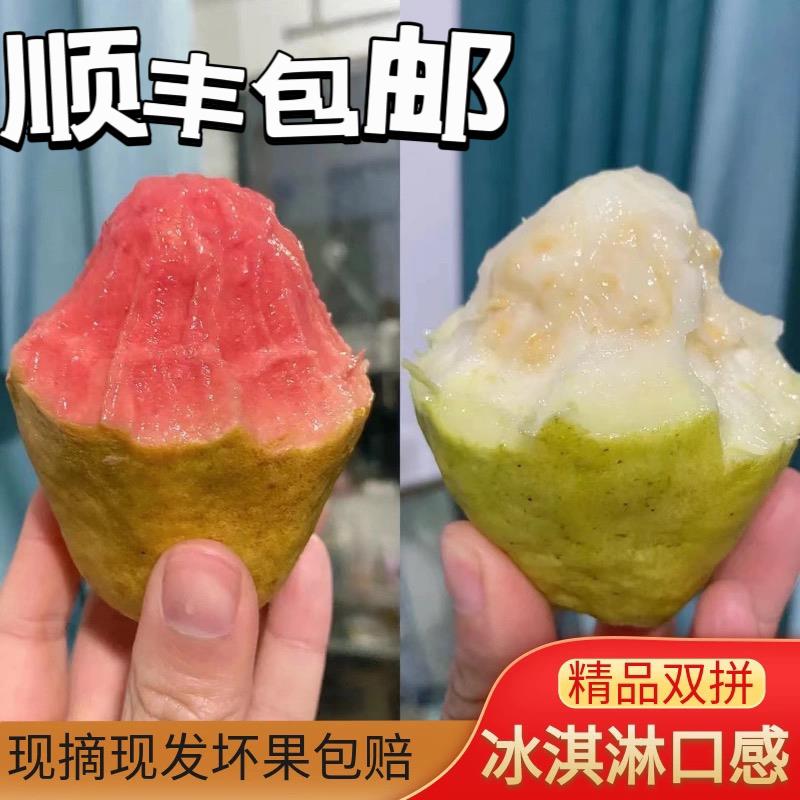 顺丰包邮福建漳州奶油冰