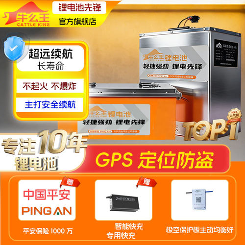 牛么王极核AEZE系列锂电池