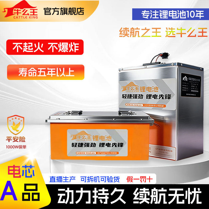 牛么王电动车锂电池72V磷酸铁锂电池60V大容量外卖专用电动锂电池