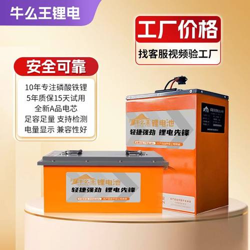 磷酸铁锂电动车电三轮电四轮