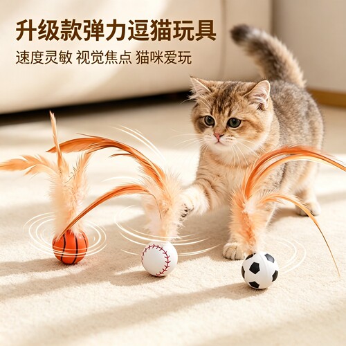 猫咪逗猫棒羽毛弹力球