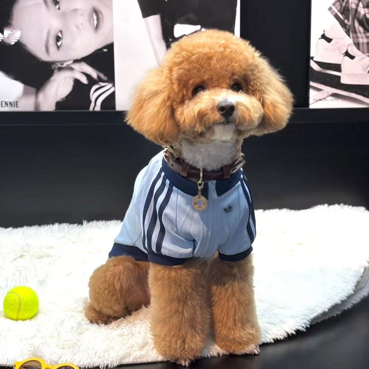 宠物防寒秋冬加绒保暖棉袄发热外出马甲小狗猫咪衣服洋气冲锋棉服