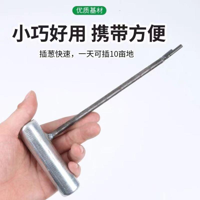 播种菜籽神器扦插育苗神器蔬菜撒种神器油菜籽播种神器用栽苗神器