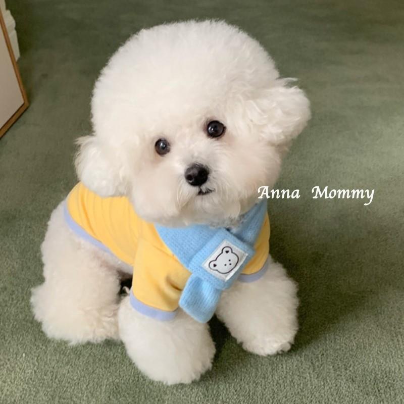 猫咪过冬衣服网红洋气送围巾小狗狗泰迪秋款比熊法斗宠物冬天薄款