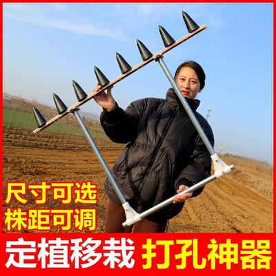 种草莓神器栽苗打孔器定植打眼机移栽打坑泥土挖坑花生播种撒饵器