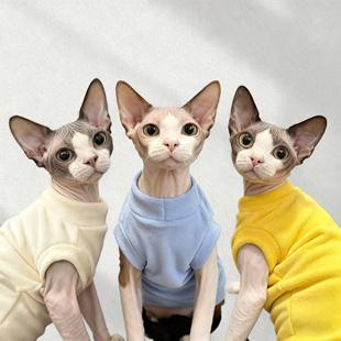 德文猫衣服双面加绒加厚阿比无毛猫冬季保暖猫咪衣服可爱小猫宠物