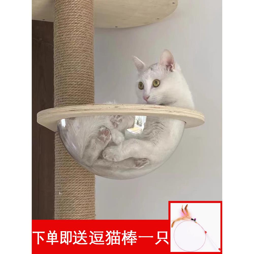 小型猫爬架自制diy材料超透明太空舱半圆球罩猫窝配件实木替换柱