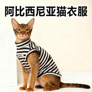 阿比西尼亚猫衣服幼猫咪防掉毛秋四季薄款冬装护肚子保暖宠物服饰