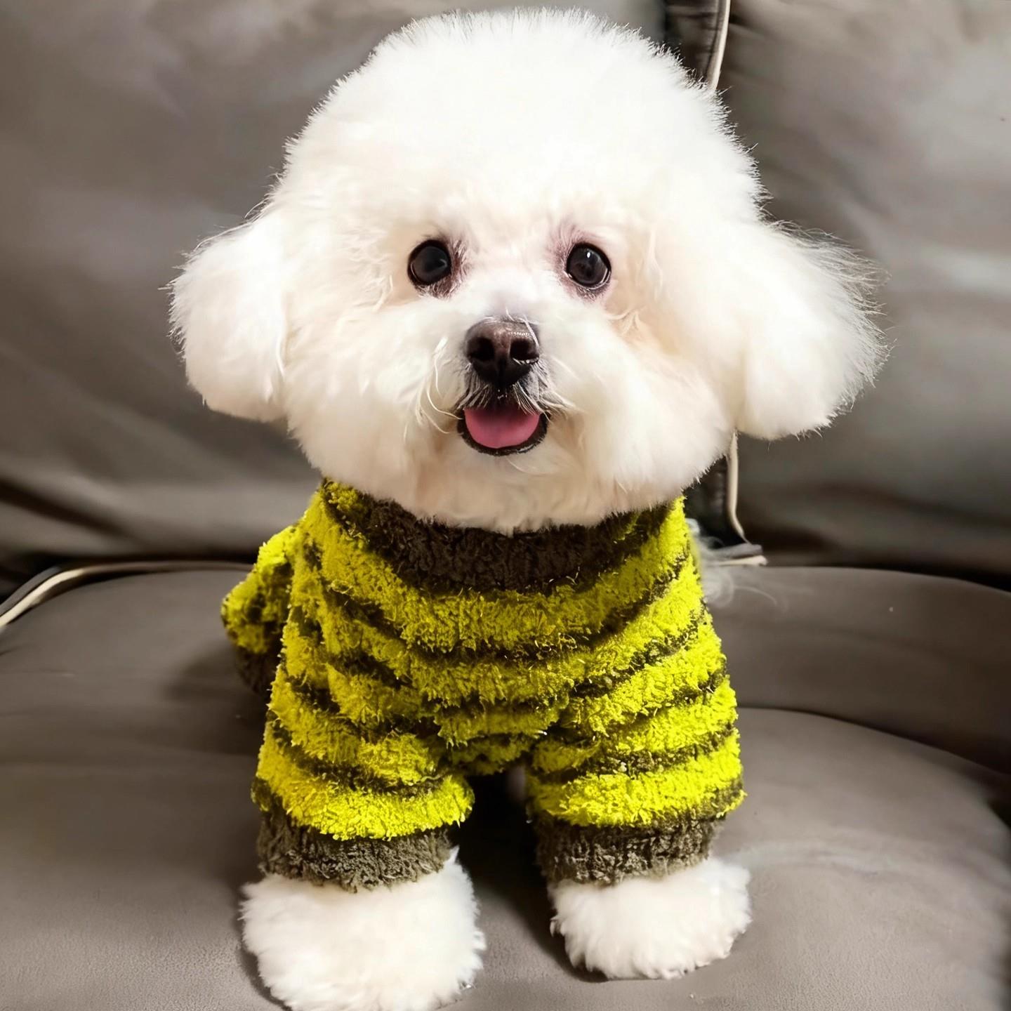 狗狗衣服四脚衣防掉毛猫咪中小型犬新款秋冬双面绒加厚保暖可牵引