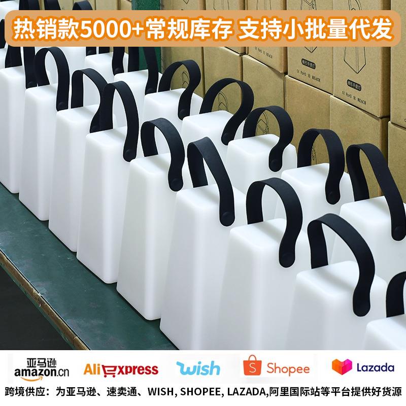 新款直销跨境led户外灯具露营野营氛围灯创意欧式台灯卧室床头小