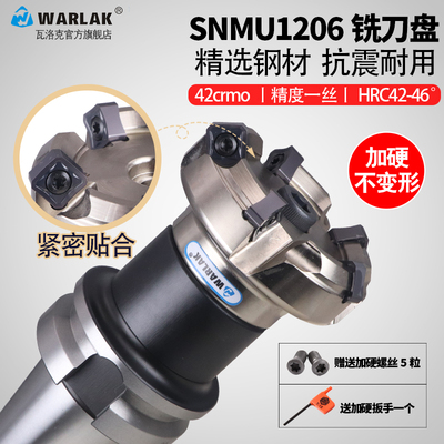 数控刀盘45度双面高精度立铣刀盘铣床直角飞平面铣刀盘SNMX1206