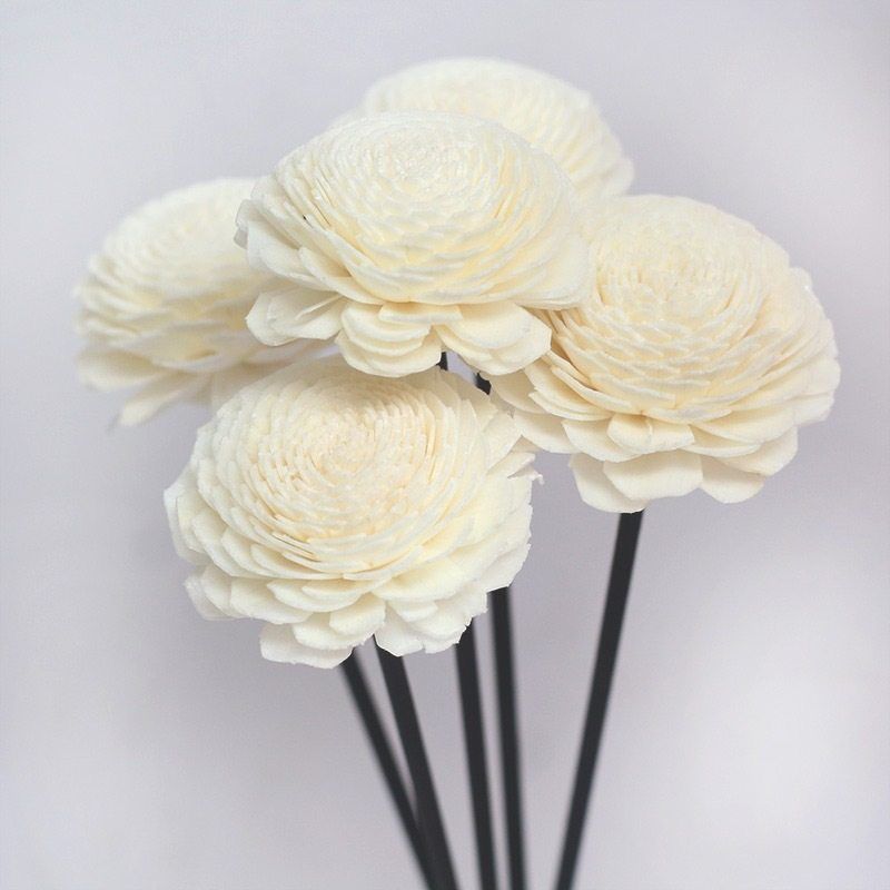 扩香薰棒香薰香薰香花她挥发通草花无心无火藤条花干花精油UT挥发