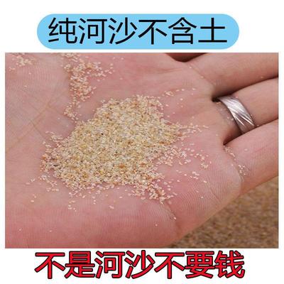 河沙细沙种花沙子鱼缸底砂水族造景乌龟冬眠多肉铺面沙子
