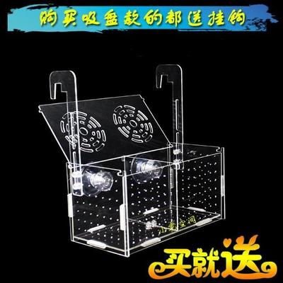 鱼鱼宝宝繁殖箱水族箱隔