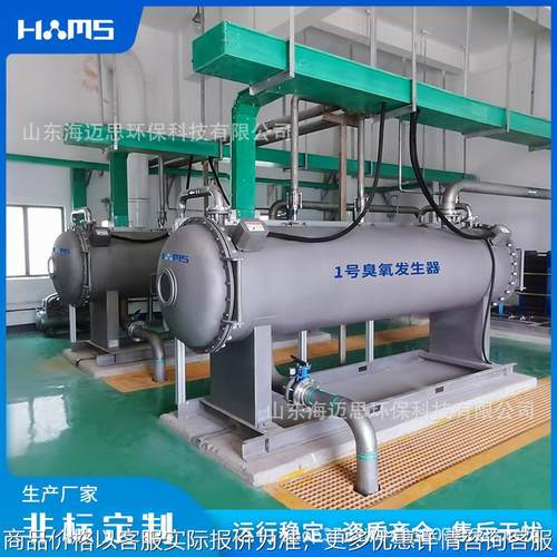 厂家直供臭氧发生器水处理杀菌消毒设备 污水处理大型臭氧机