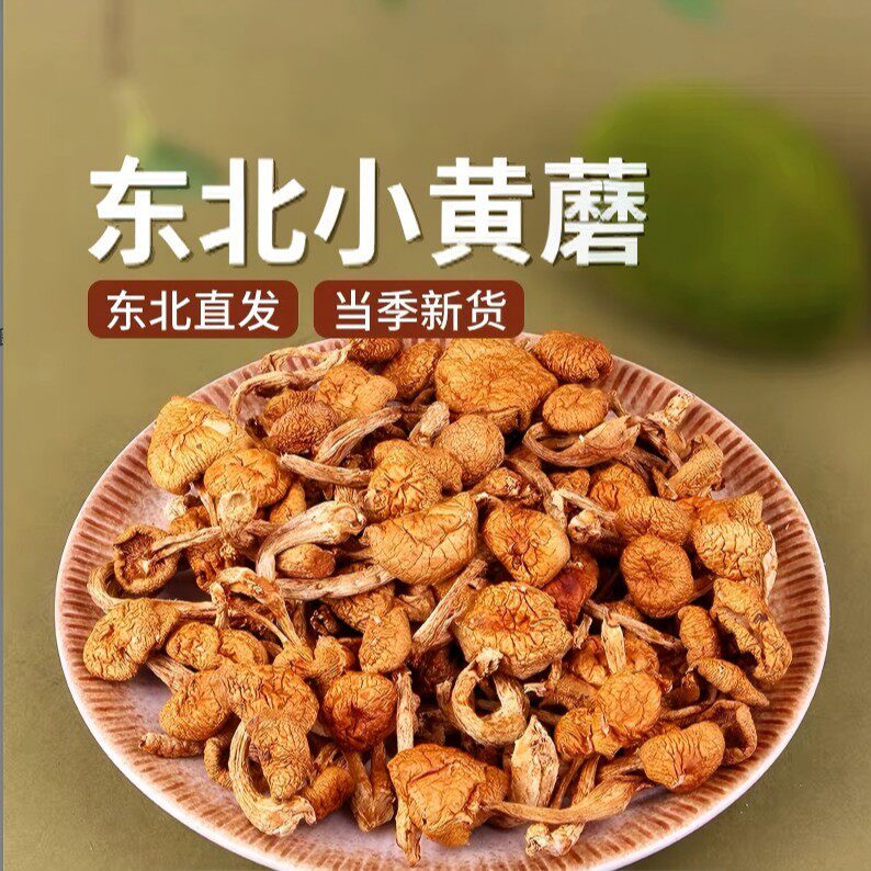2026年东北小黄蘑【支持试吃】菌菇 蘑菇 干货 东北特产