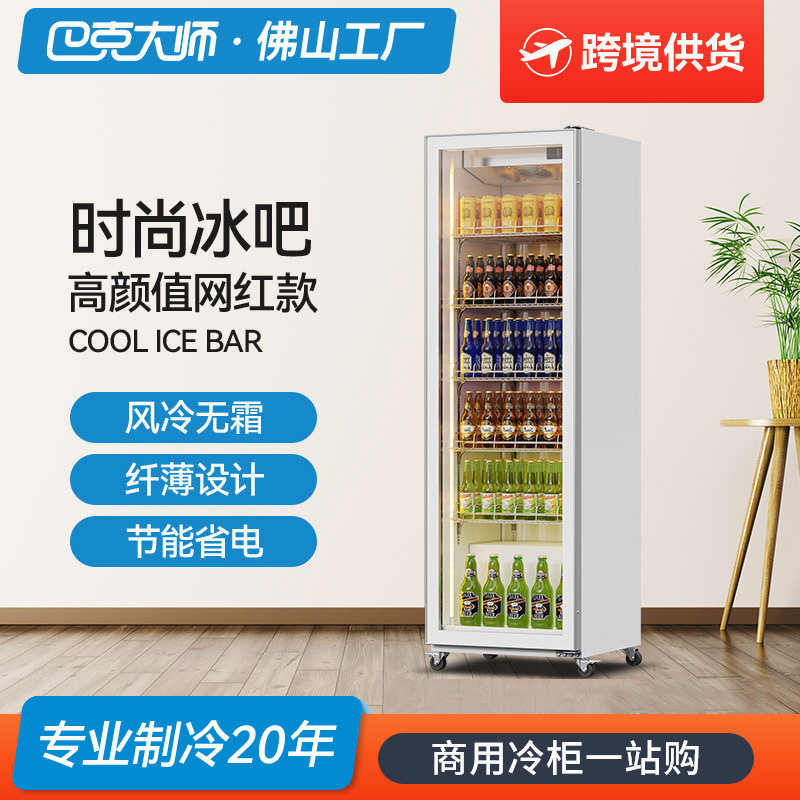 巴克大师网红展示冰柜商用便利店饮料啤酒柜保鲜冷藏柜 定制