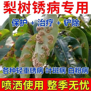 梨树病菌清三菌病害锈病专用药杀菌剂真菌病菌细菌病害根腐病正品