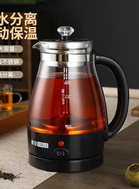 德国进口安化黑茶专用全自动蒸汽