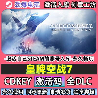 皇牌空战7steam正版ACE