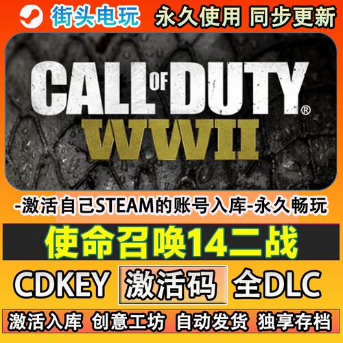 使命召唤14二战steam正版