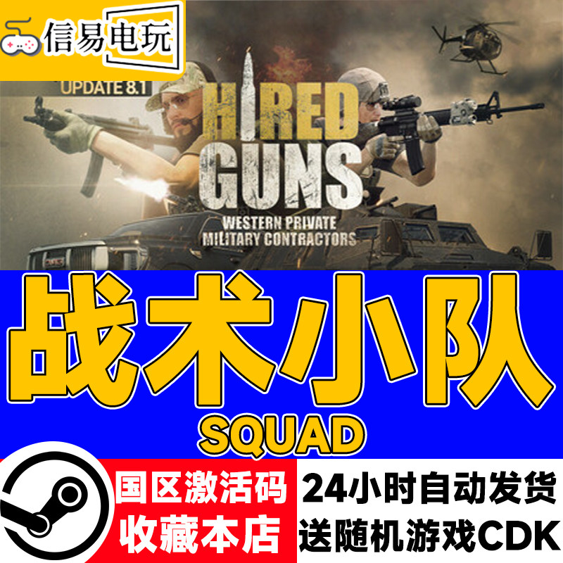 Steam战术小队正版CDKEY