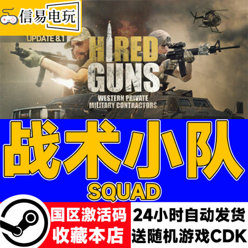 Steam战术小队正版CDKEY