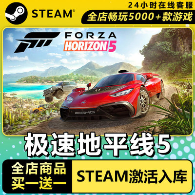 【steam正版】极速竞速地