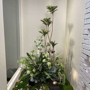 小型绿植造景装饰花卉仿真植物盆栽摆件办公室服装店角落花堆布景