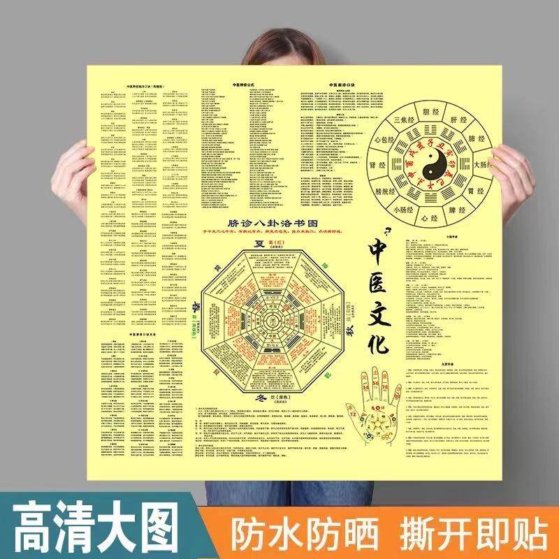 中医基础知识挂画图 脐诊手掌歌诀综合知识图海报
