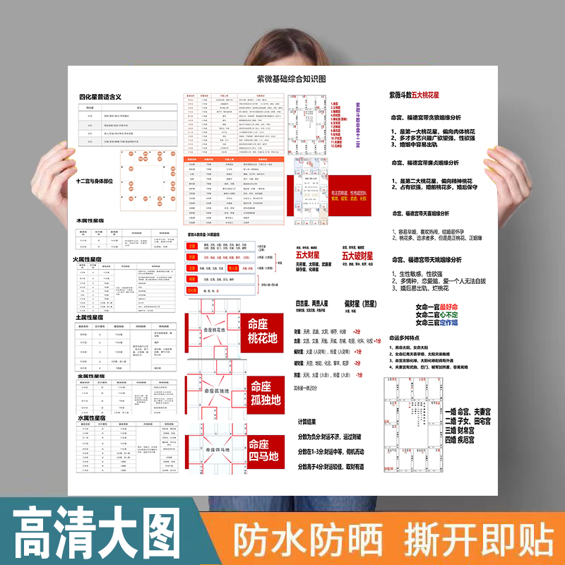 基础紫薇挂画装饰图国学pp胶油画布易学基础装饰画