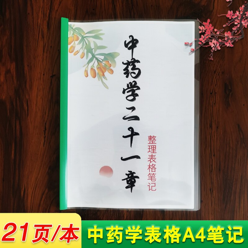 中药学二十一章整理表格笔记 全21页/本 中医中药高清A4笔记本
