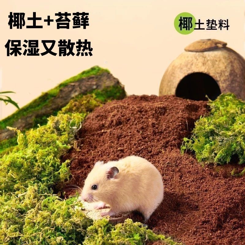 椰土仓鼠椰砖垫料金丝熊小宠物造景苔藓尿沙爬宠夏天垫料仓鼠苔藓